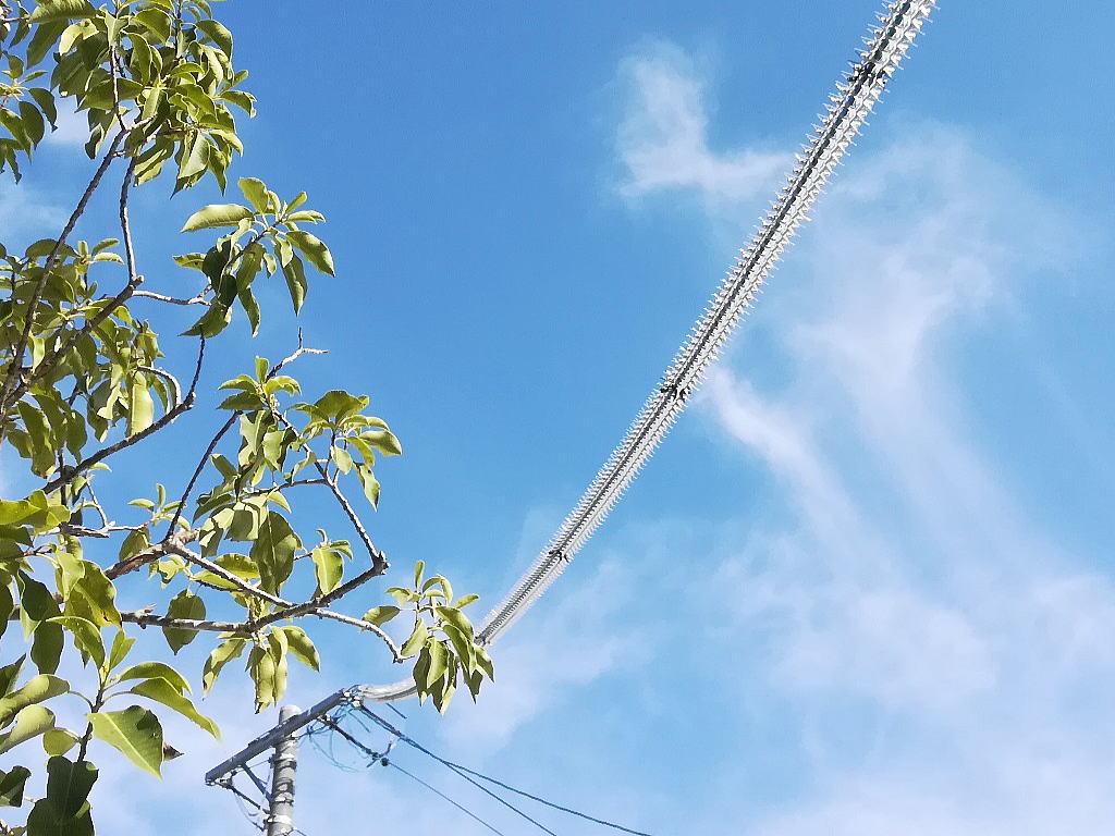 Shiawaseya-鳥フン対策