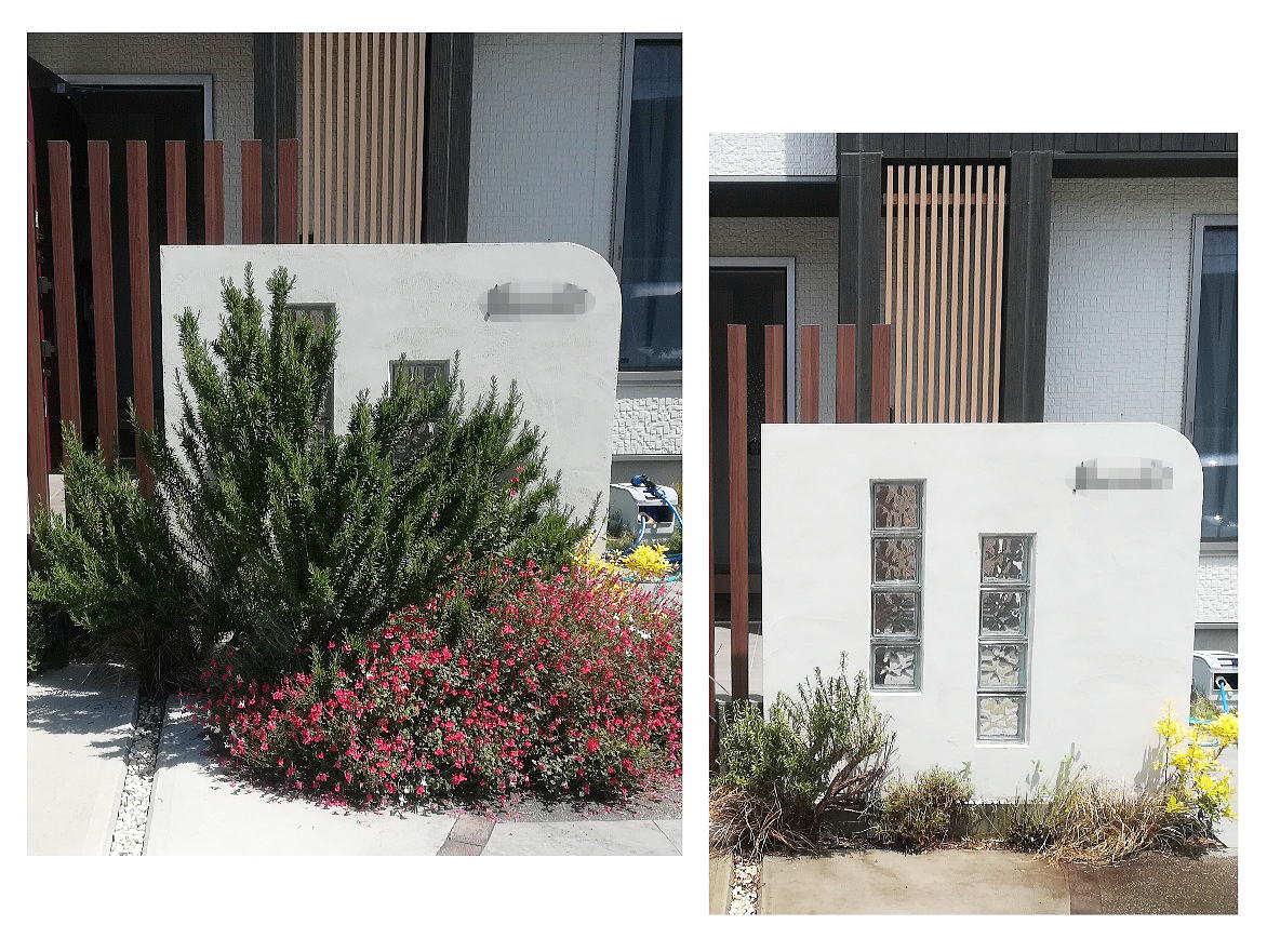 Shiawaseya-剪定しましょう♪