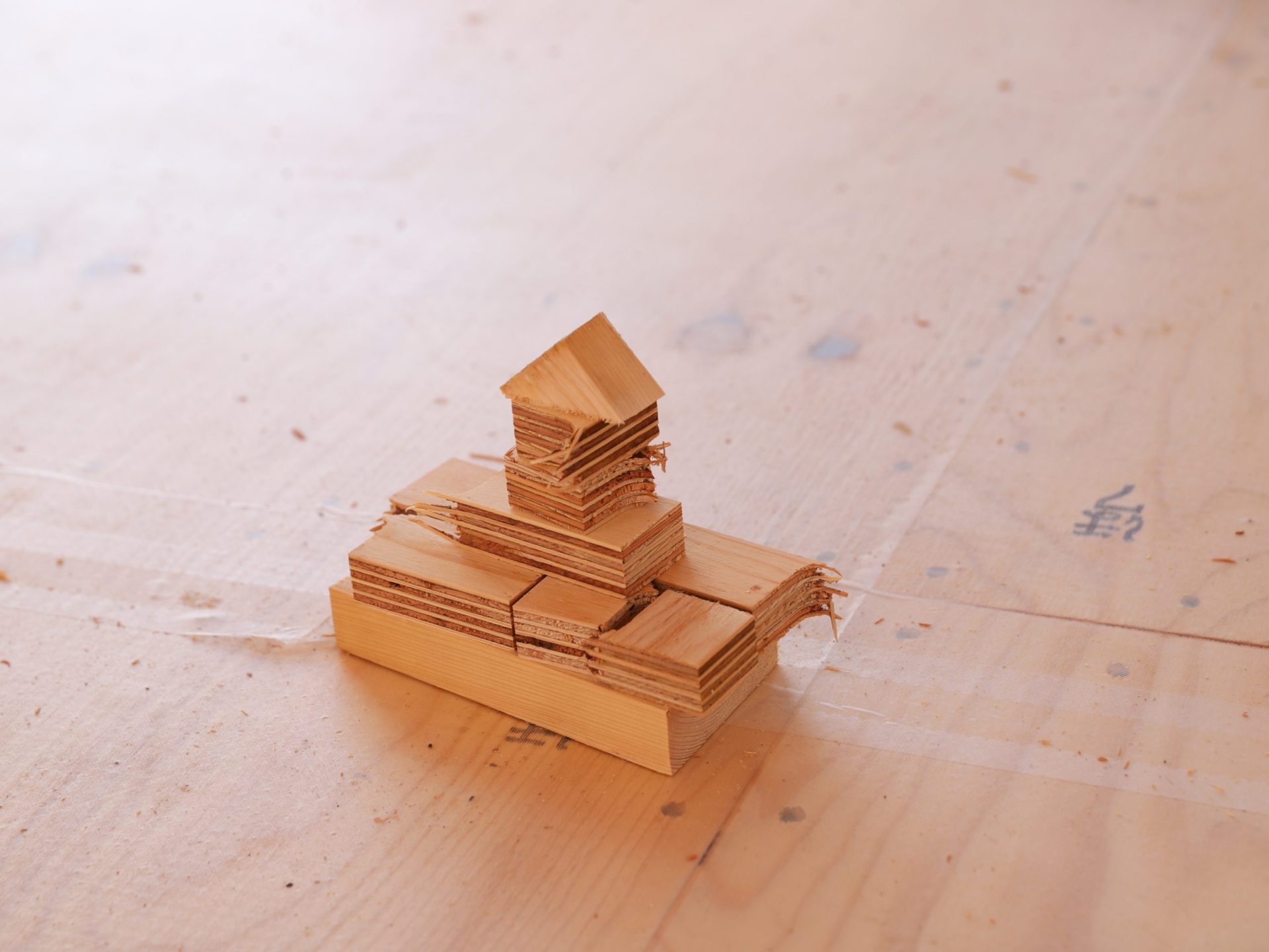 Shiawaseya-〇夢がカタチになる瞬間〇　丸山ブログ