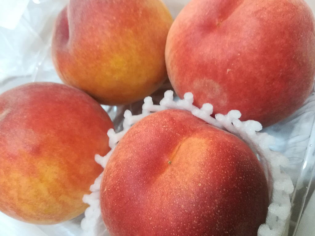 Shiawaseya-旬の果物〈ワッサー〉