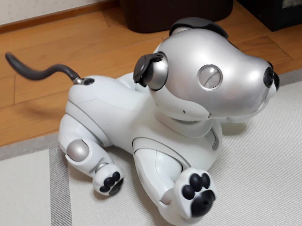 Shiawaseya-日本チャチャチャ♬