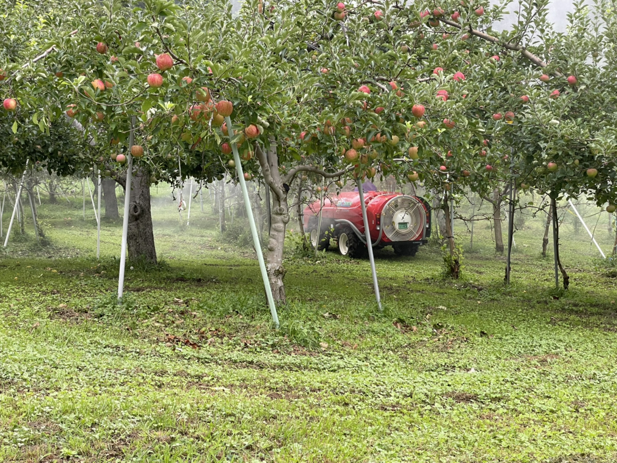 Shiawaseya-210914　早朝から！