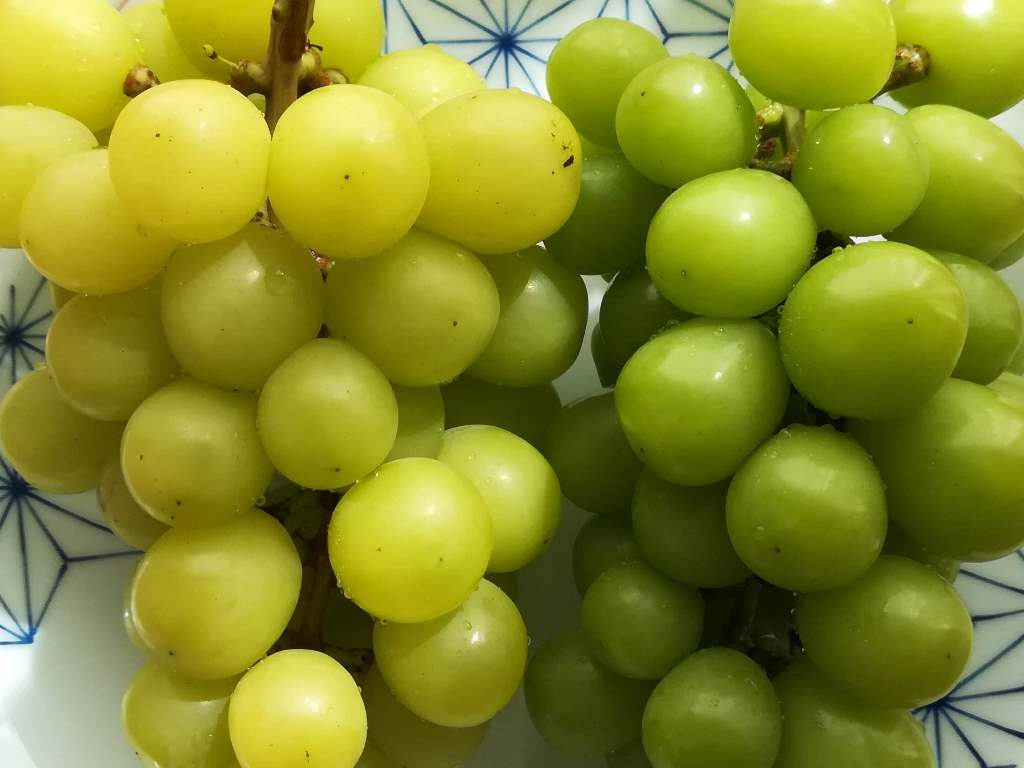 Shiawaseya-旬の果物〈シャインマスカット〉