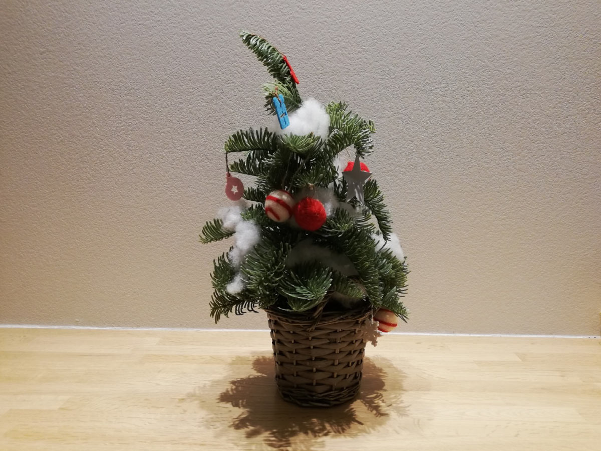 Shiawaseya-乾燥　　本塩ブログ