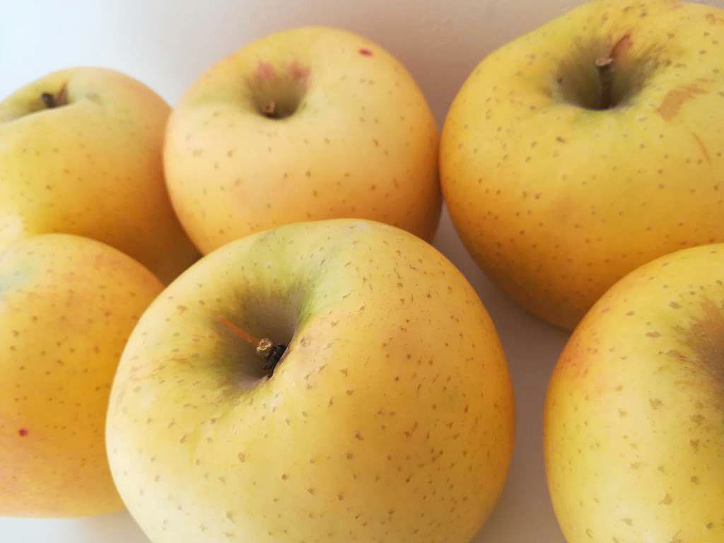 Shiawaseya-旬の果物〈シナノゴールド〉