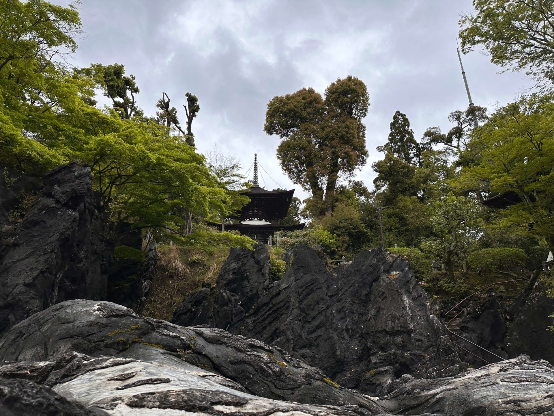 Shiawaseya-240424　琵琶湖の畔のお寺へ。