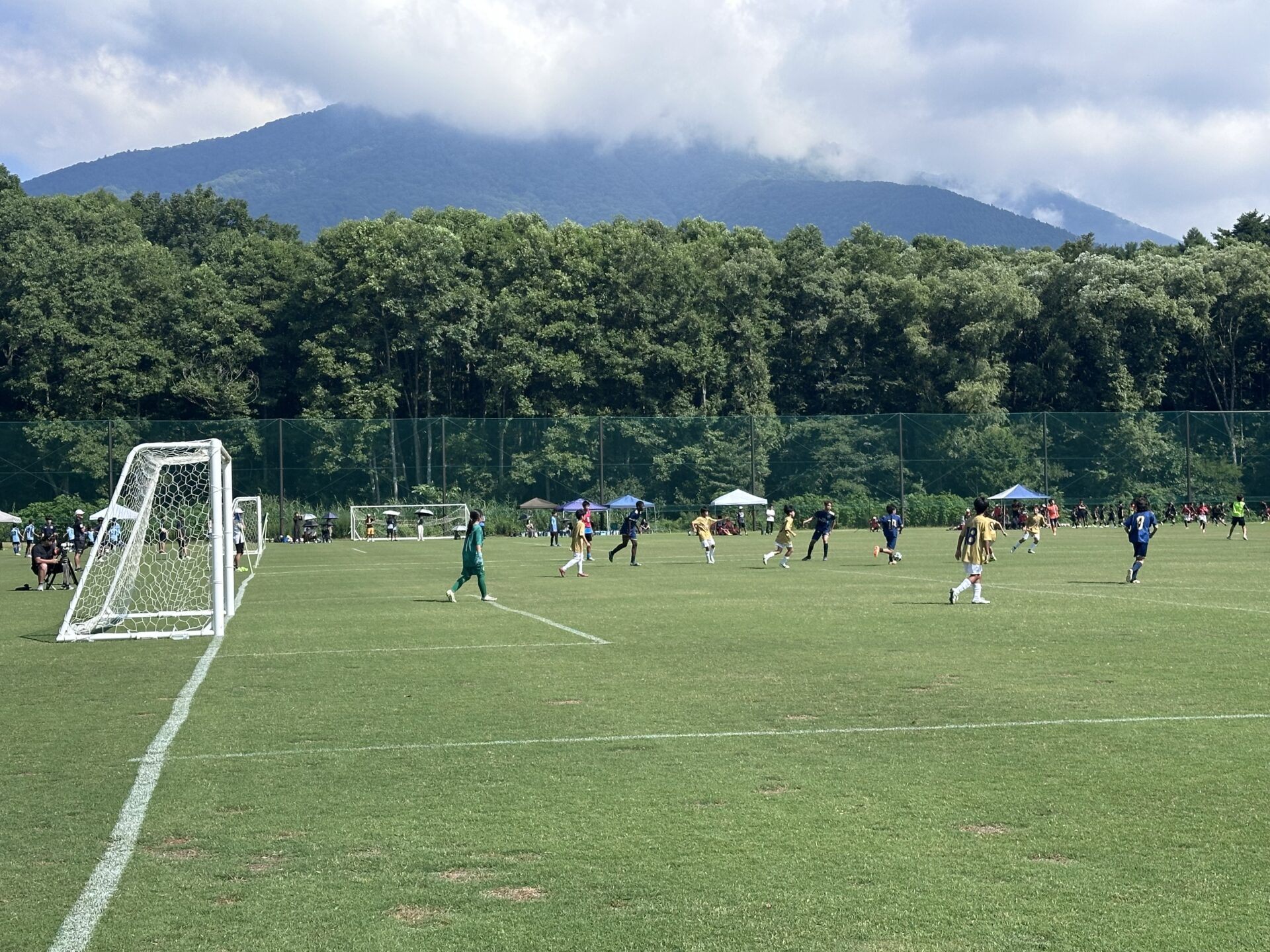 Shiawaseya-250729ｰ31　今年の夏も！