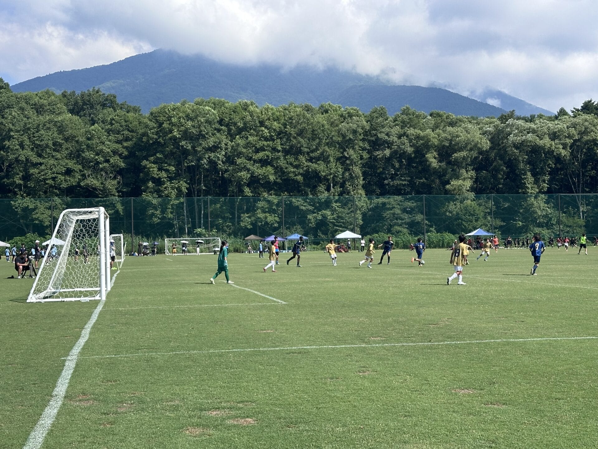 250729ｰ31　今年の夏も！