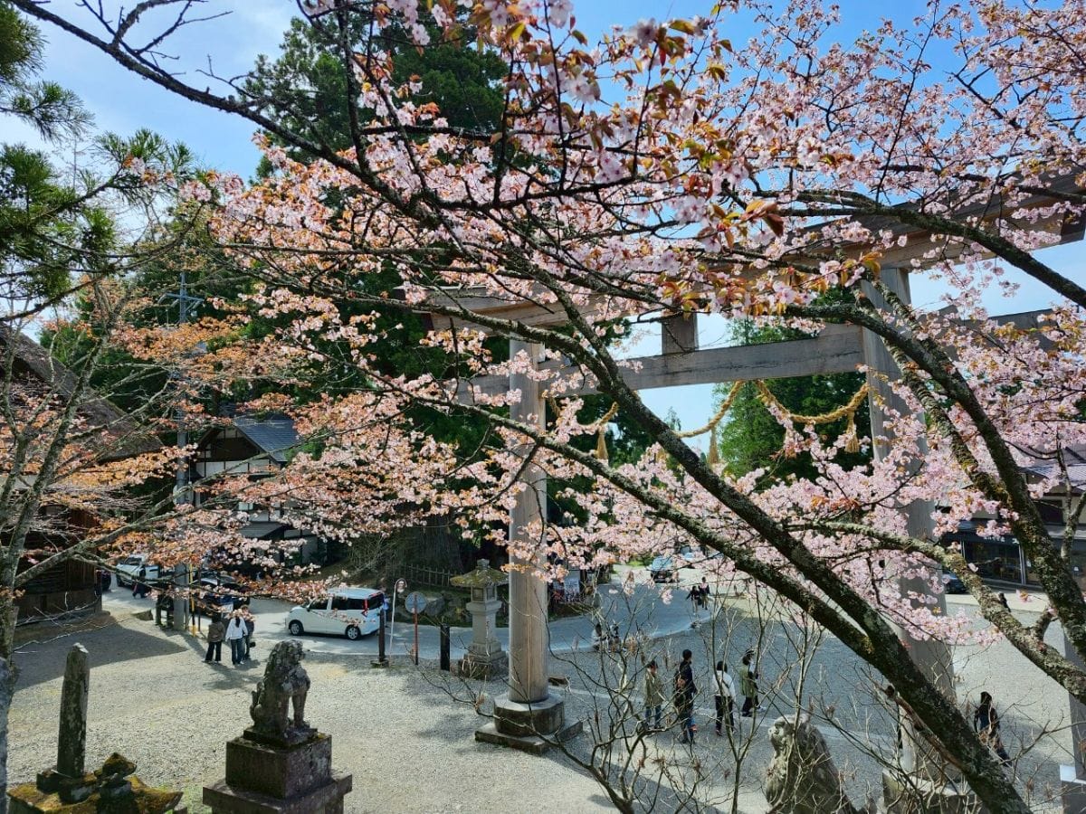 GWは、いかがOSUGOSHI？