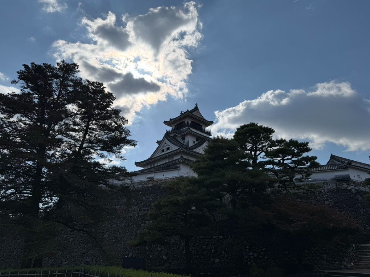 〇初高知ぜよ〇　丸山ブログ