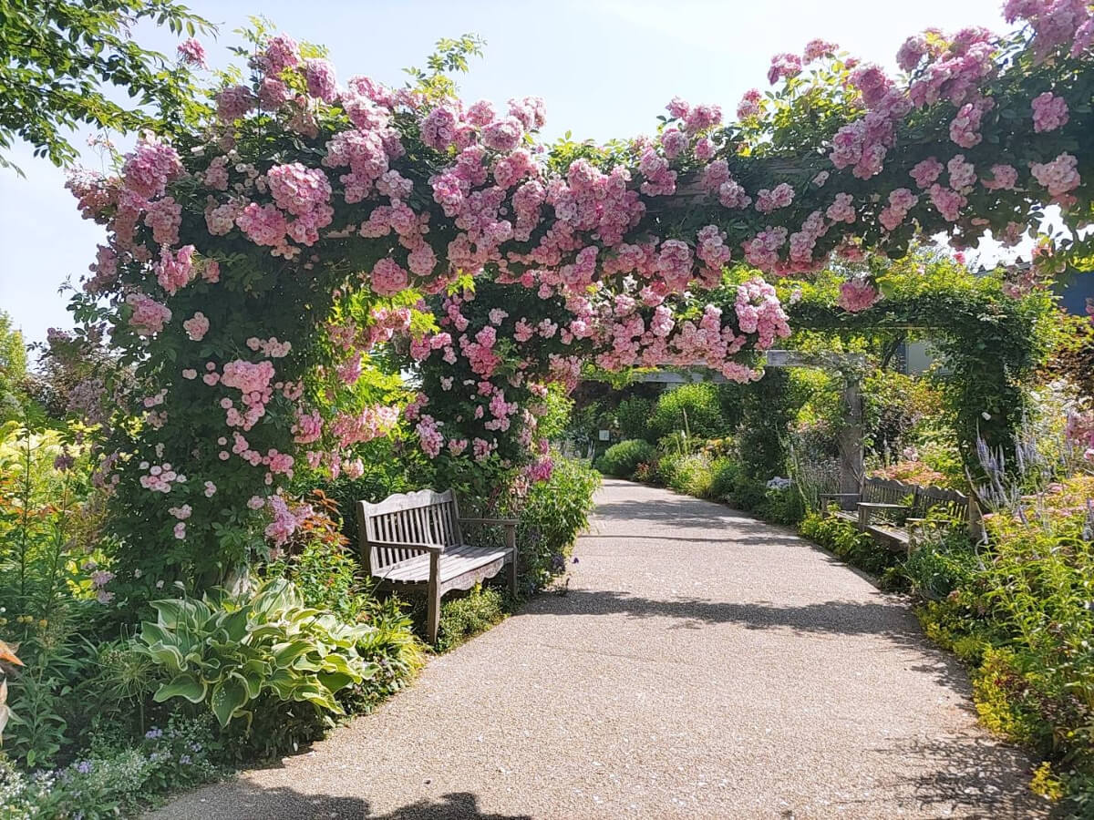 Shiawaseya-ガーデン探索