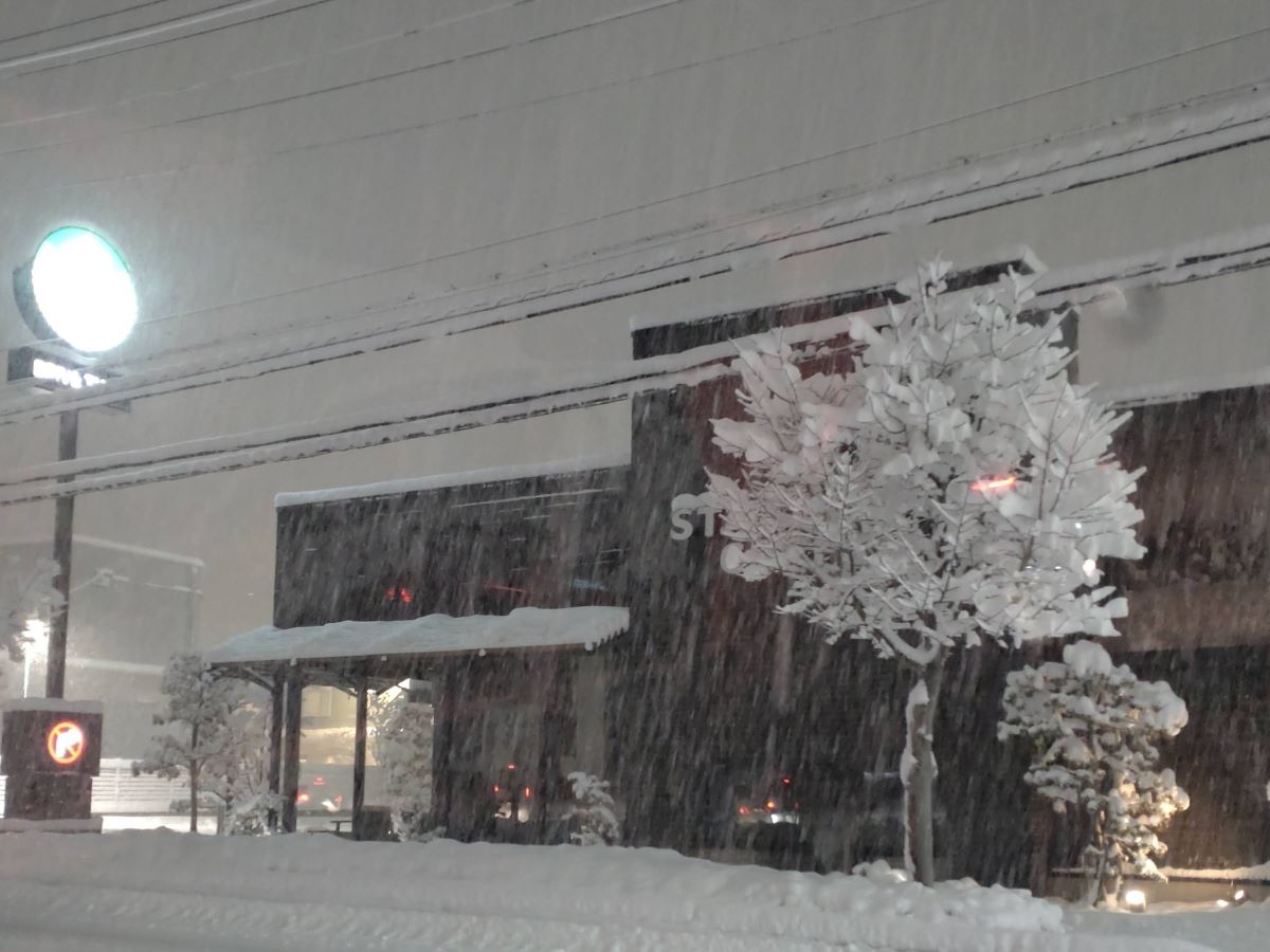 Shiawaseya-【冬のエクステリアの注意事項】カーポートの雪おろし大切 ＆ 雪をフェンスに押し付けNG！！