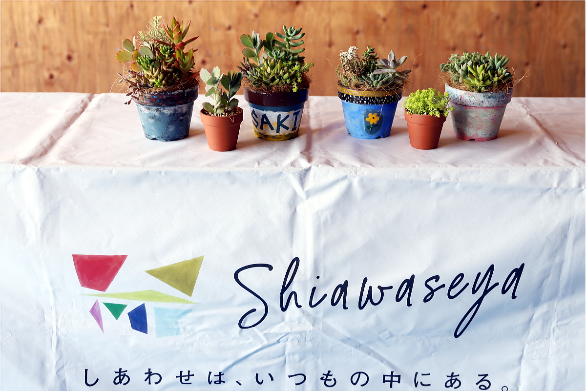 Shiawaseya-多肉植物の寄せ植え教室、開催しました！！