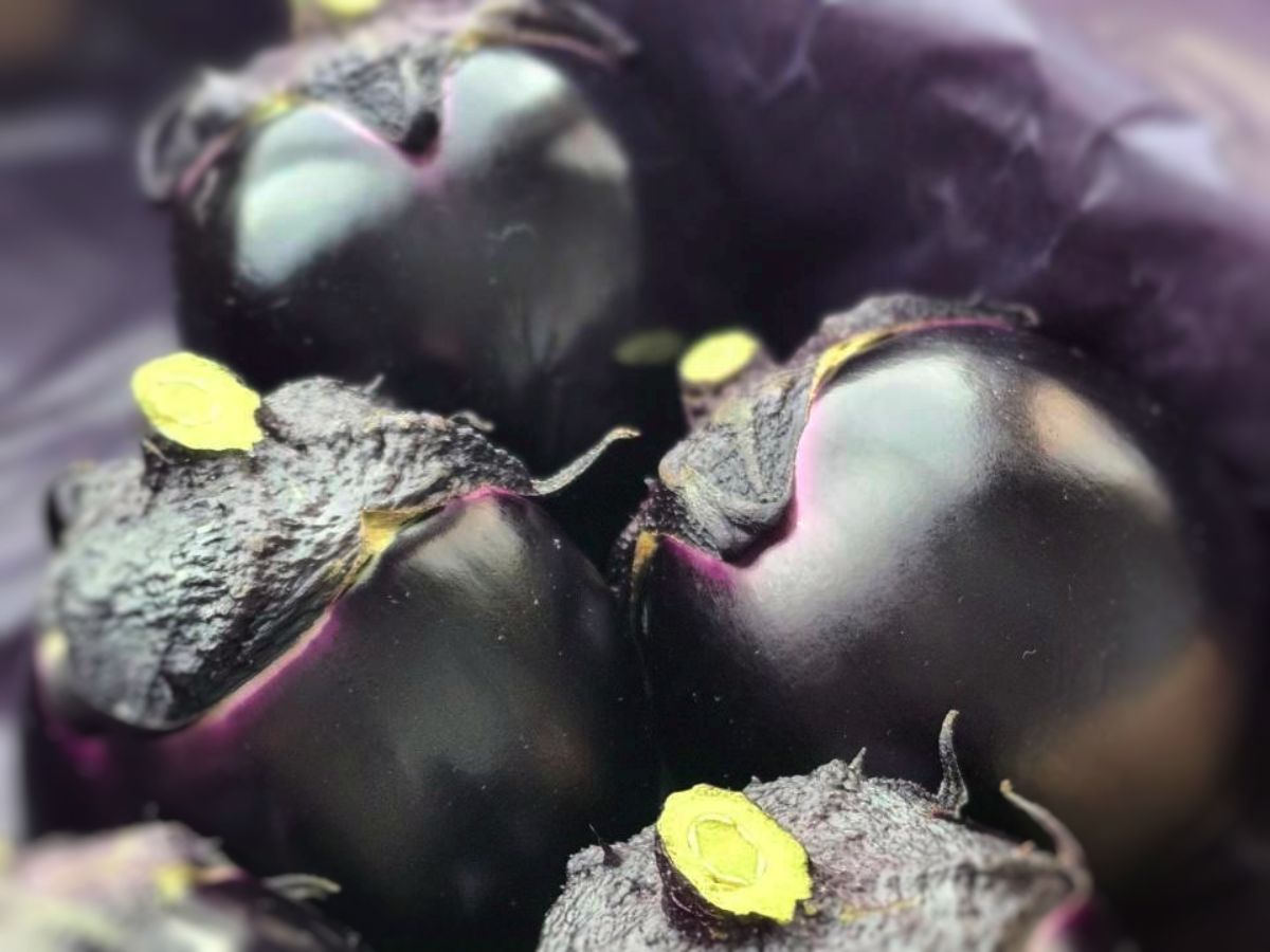 Shiawaseya-糸魚川の豪華なす