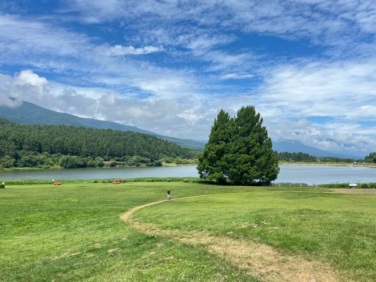 Shiawaseya-はじめまして、設計担当アシザワです！